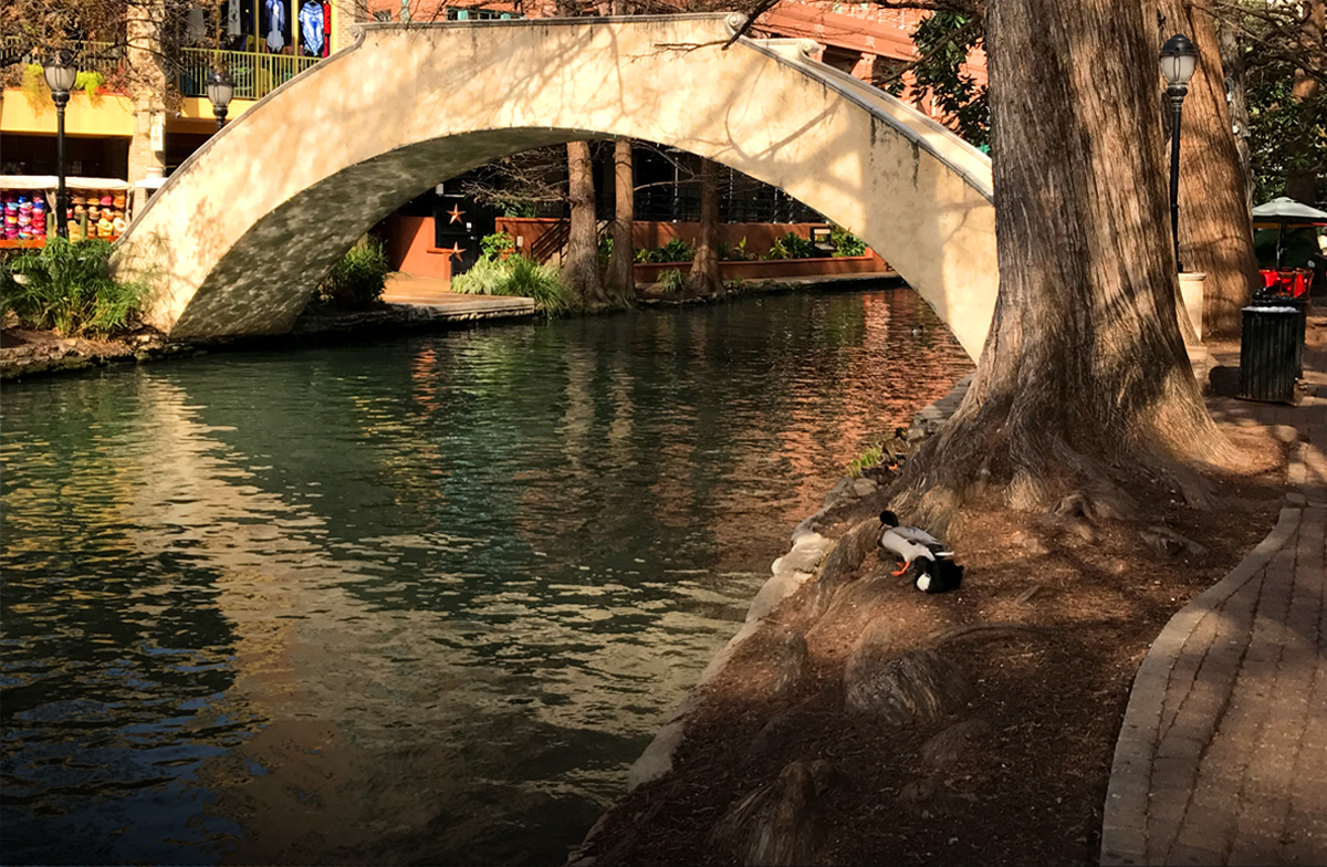 A bridge over water at the Riverwalk in San Antonio